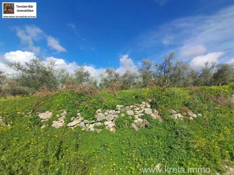 KALIVIA Kreta, Kalivaia Olivenhain 55 Bäume Ein persönlicher Rückzugsort inmitten der Natur Grundstück kaufen